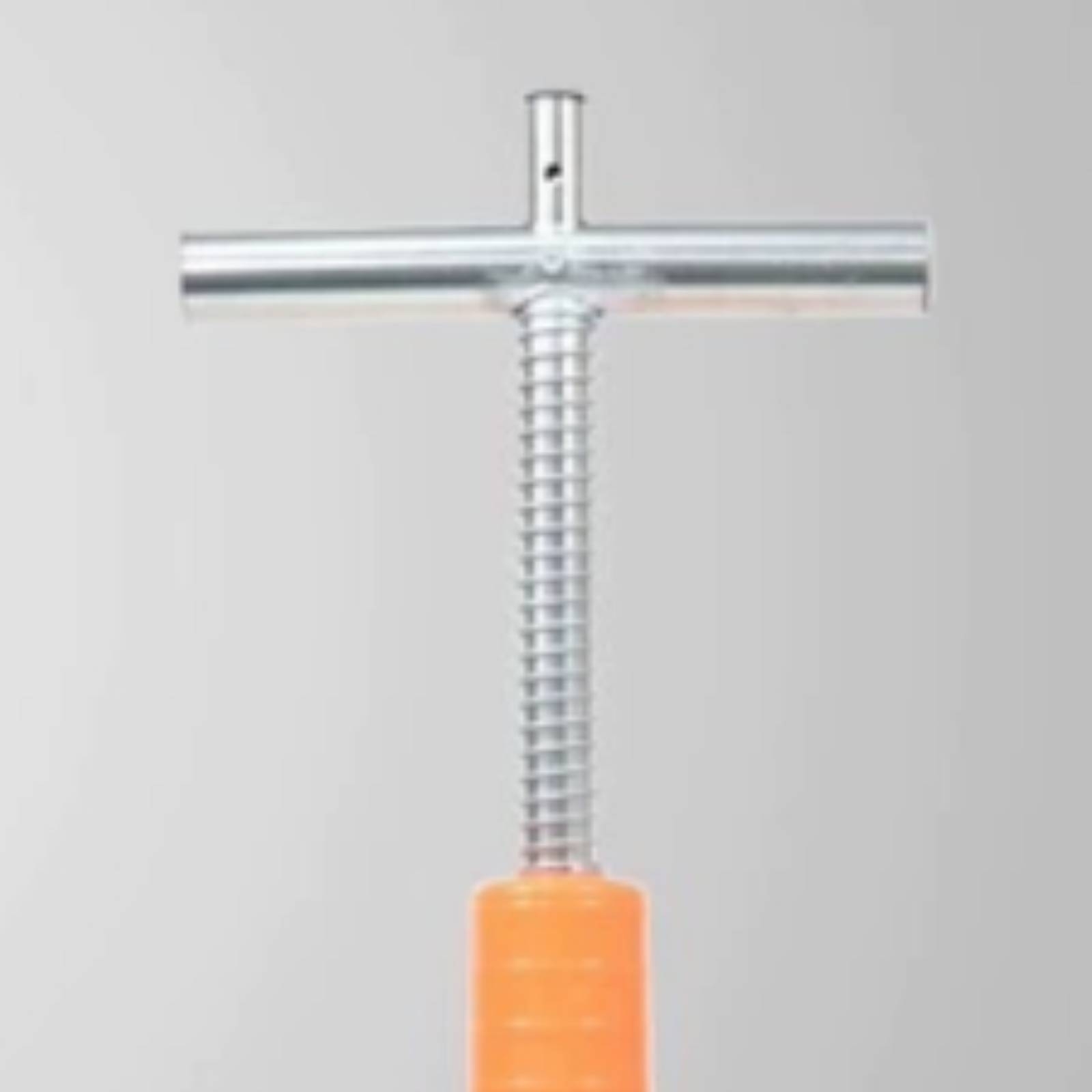 Nutrition & Fitness Hub - Fertilizer Applicator with T Handle Pointed