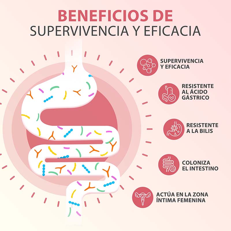 PROBIOTICOS MUJER Capsules - S - Probiotics Women Health recension och pris