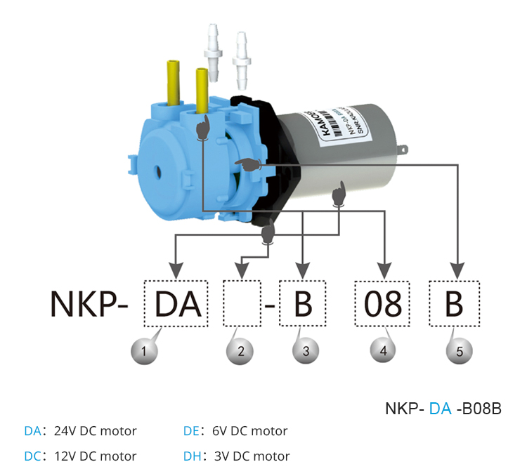 2026 new NKP 6V 12V 24V DC mot - Nutrition & Fitness Hub recension och pris