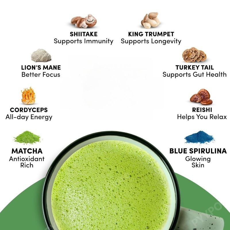 Organic Mushroom Matcha Supple - Lion Mane Mushroom recension och pris