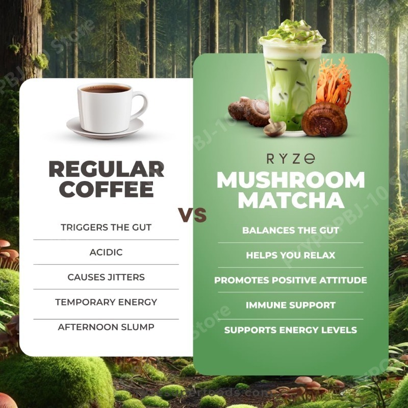 Organic Mushroom Matcha Supple - Lion Mane Mushroom recension och pris