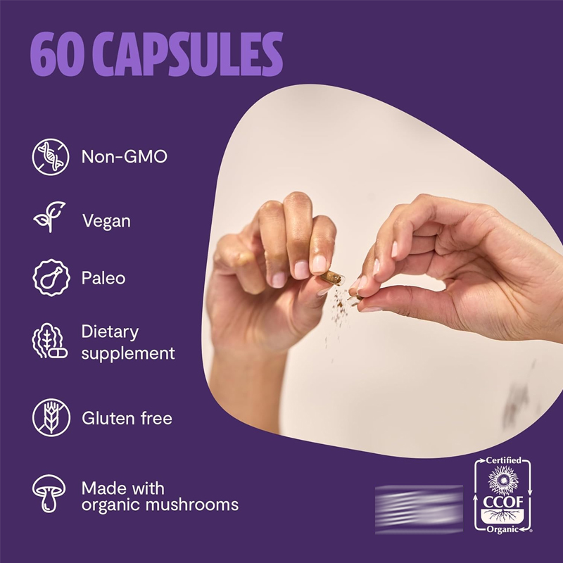 Lion Mane Supplement Capsules  - Lion Mane Mushroom recension och pris