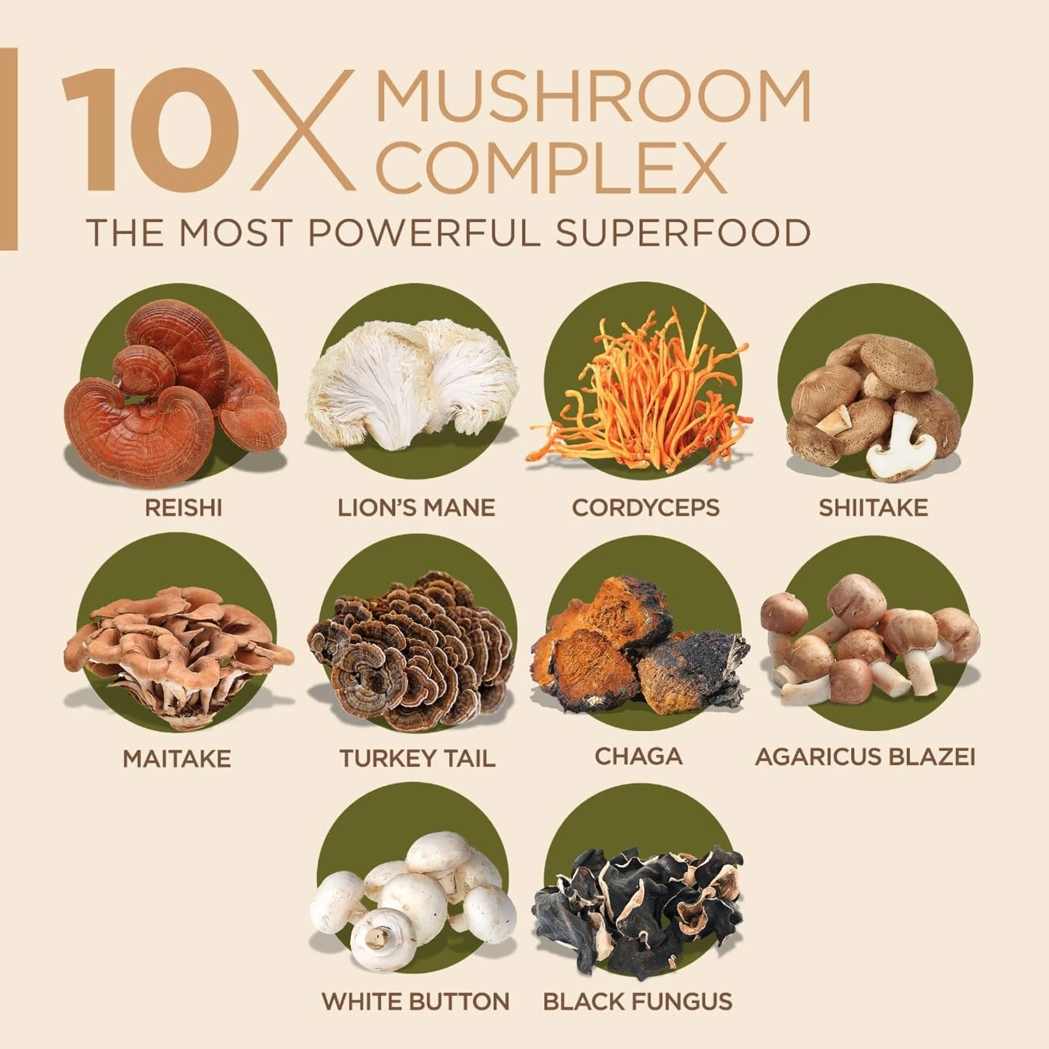 10x Mushroom Complex Capsules  - Lion Mane Mushroom recension och pris