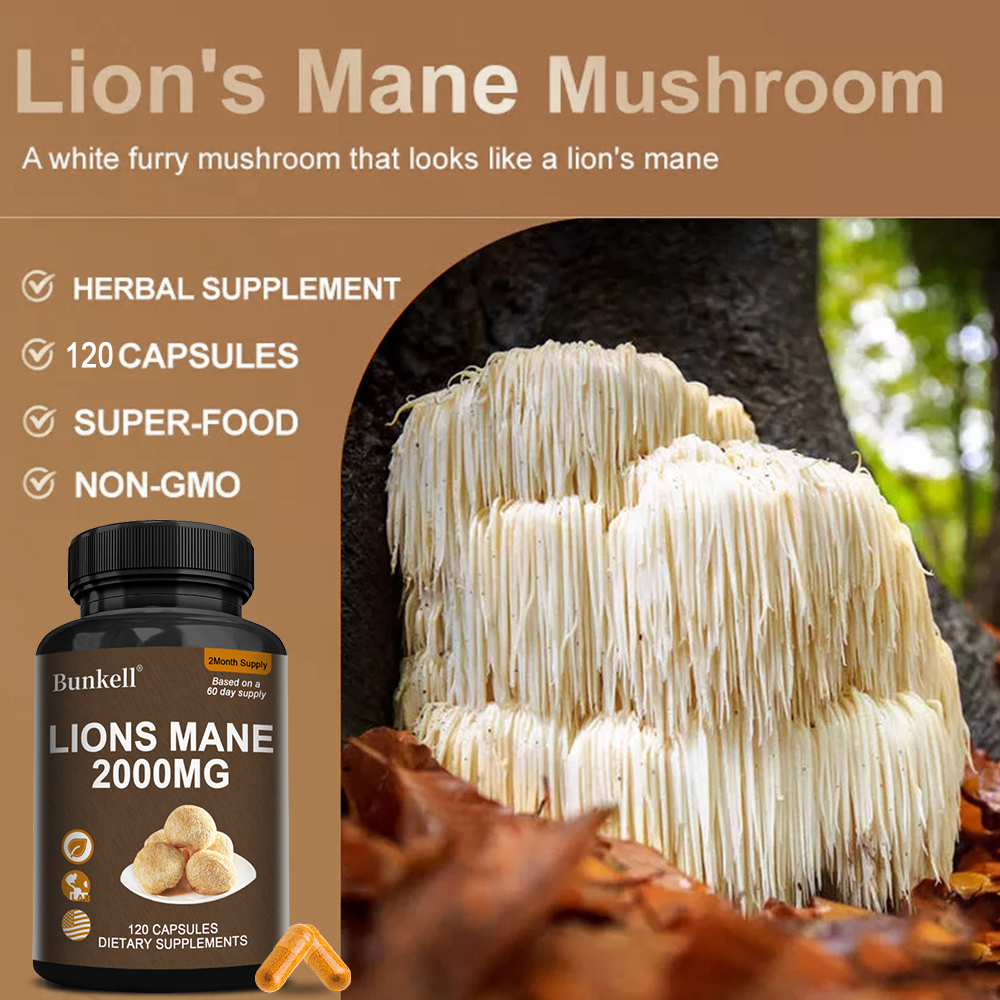Organic Lions Mane Mushroom Ca - Lion Mane Mushroom recension och pris