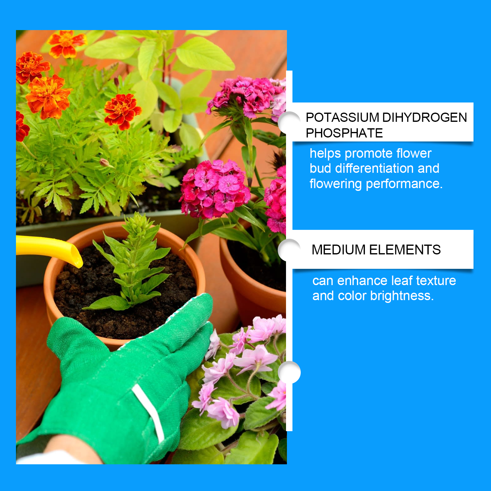 Flower Nutrient Solution Liqui - Nutrition & Fitness Hub recension och pris